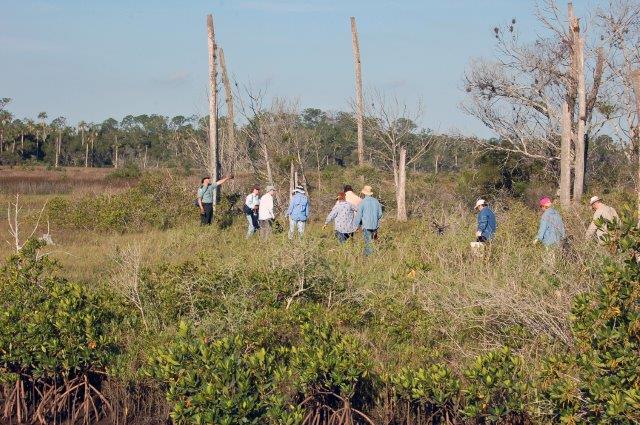 Hiking in Citrus County